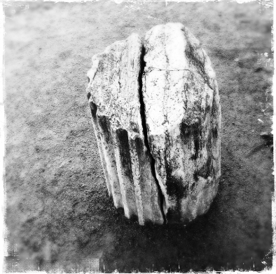 Colonna fratta (1)